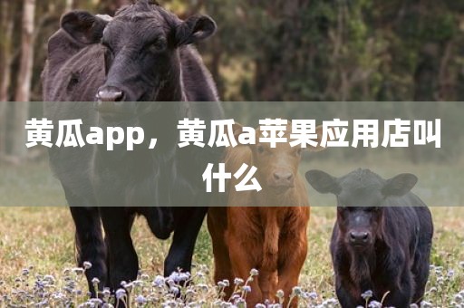 黄瓜app，黄瓜a苹果应用店叫什么