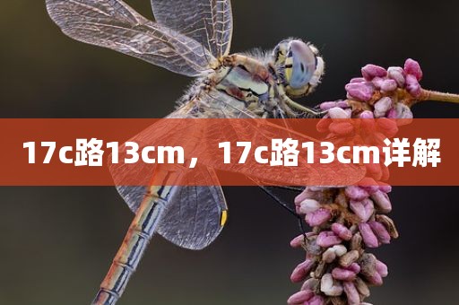17c路13cm，17c路13cm详解