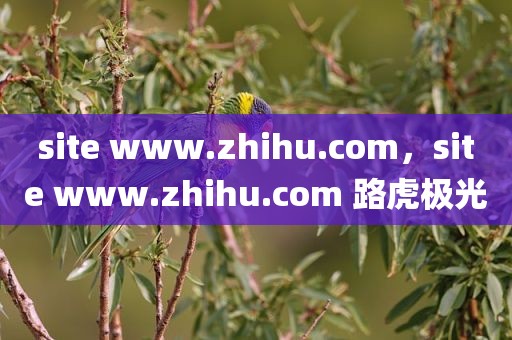 site www.zhihu.com，site www.zhihu.com 路虎极光