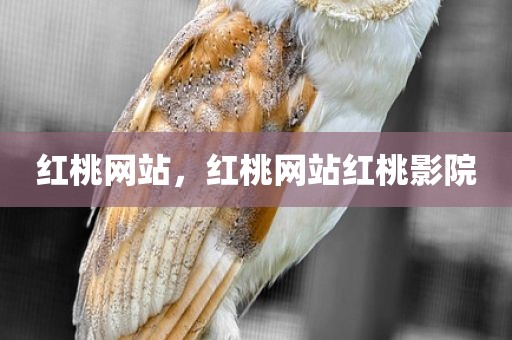 红桃网站，红桃网站红桃影院