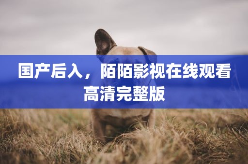 国产后入，陌陌影视在线观看高清完整版