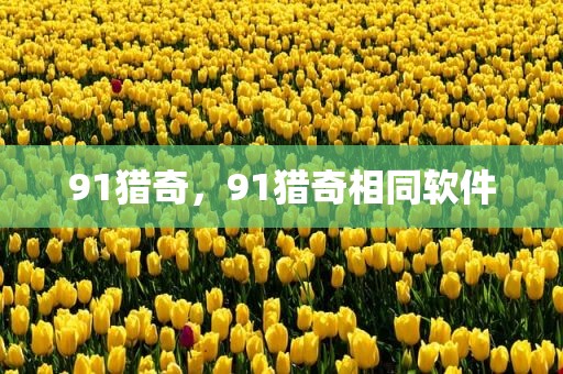 91猎奇，91猎奇相同软件