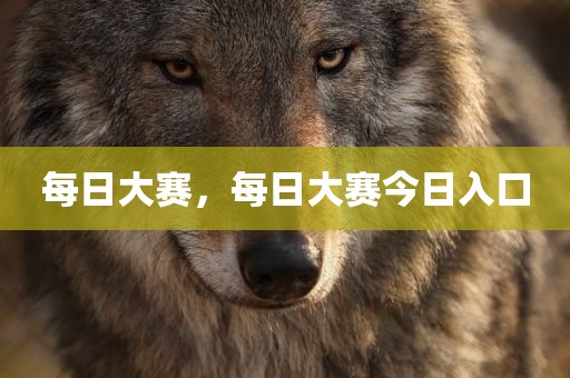 每日大赛，每日大赛今日入口