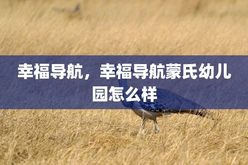 幸福导航，幸福导航蒙氏幼儿园怎么样