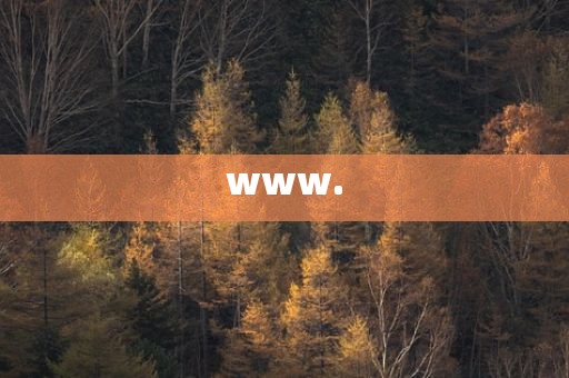 www.