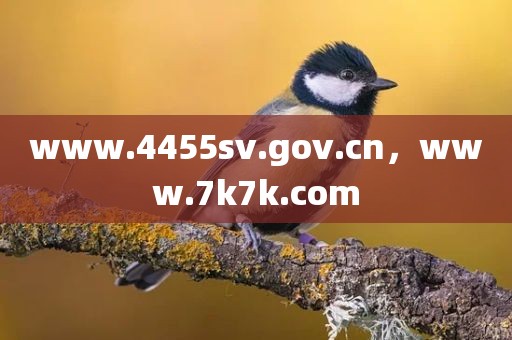 www.4455sv.gov.cn，www.7k7k.com
