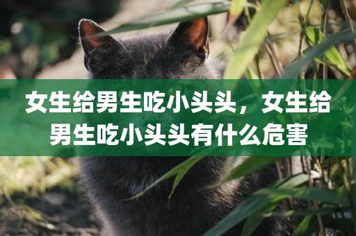 女生给男生吃小头头，女生给男生吃小头头有什么危害