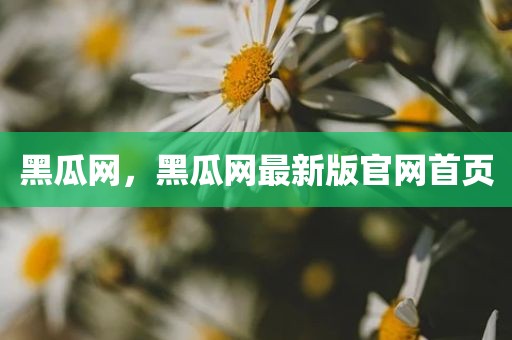 黑瓜网，黑瓜网最新版官网首页