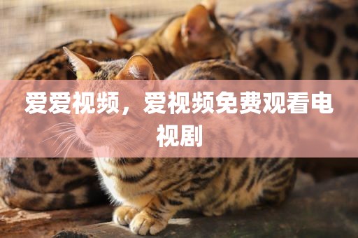 爱爱视频，爱视频免费观看电视剧