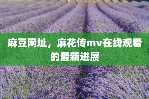 麻豆网址，麻花传mv在线观看的最新进展