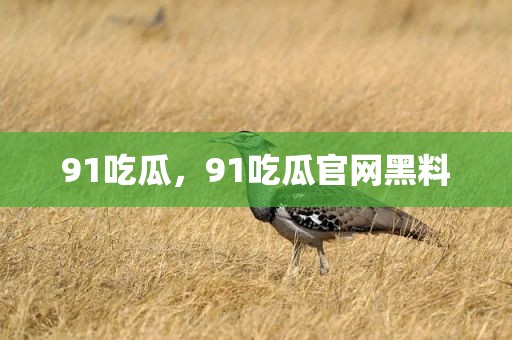 91吃瓜，91吃瓜官网黑料