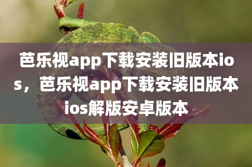芭乐视app下载安装旧版本ios，芭乐视app下载安装旧版本ios解版安卓版本