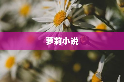 萝莉小说