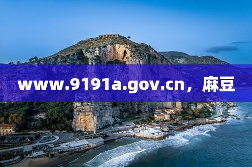 www.9191a.gov.cn，麻豆