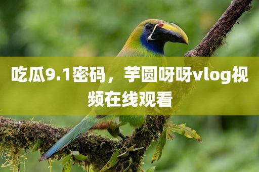 吃瓜9.1密码，芋圆呀呀vlog视频在线观看