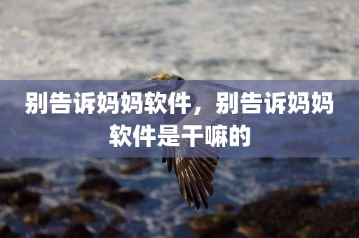 别告诉妈妈软件，别告诉妈妈软件是干嘛的