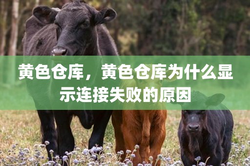 黄色仓库，黄色仓库为什么显示连接失败的原因