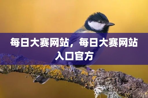 每日大赛网站，每日大赛网站入口官方