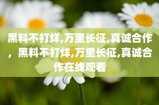 黑料不打烊,万里长征,真诚合作，黑料不打烊,万里长征,真诚合作在线观看