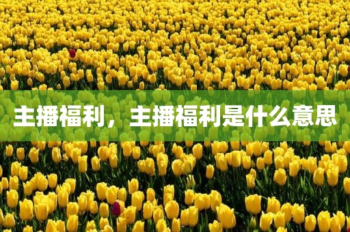 主播福利，主播福利是什么意思