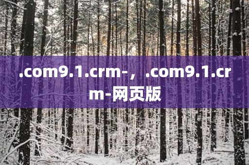 .com9.1.crm-，.com9.1.crm-网页版