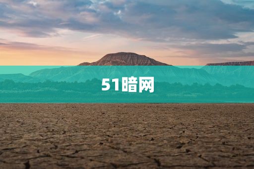 51暗网