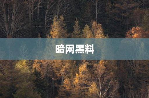 暗网黑料