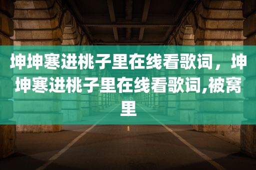 坤坤寒进桃子里在线看歌词，坤坤寒进桃子里在线看歌词,被窝里
