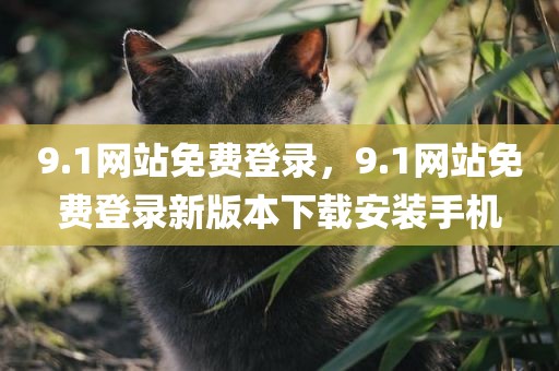 9.1网站免费登录，9.1网站免费登录新版本下载安装手机