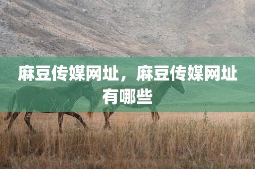 麻豆传媒网址，麻豆传媒网址有哪些