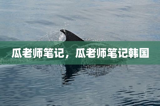 瓜老师笔记，瓜老师笔记韩国