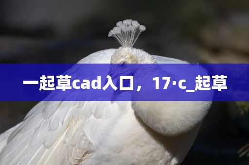 一起草cad入口，17·c_起草