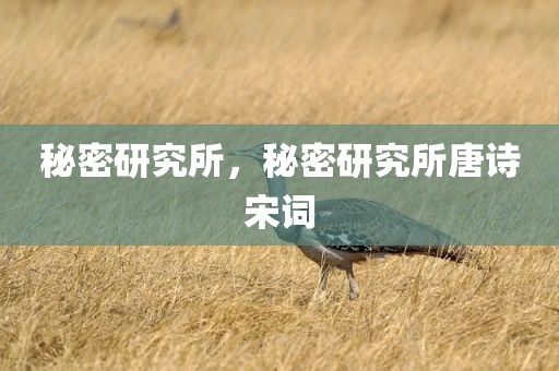秘密研究所，秘密研究所唐诗宋词