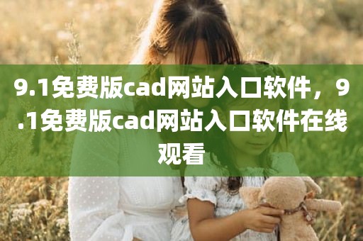 9.1免费版cad网站入口软件，9.1免费版cad网站入口软件在线观看