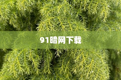 91暗网下载