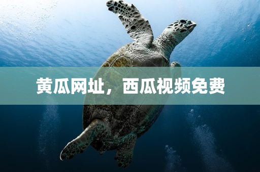 黄瓜网址，西瓜视频免费
