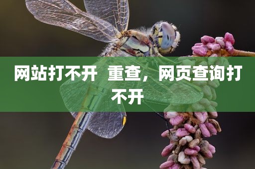 网站打不开  重查，网页查询打不开