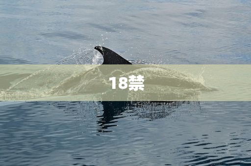 18禁