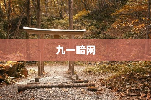 九一暗网
