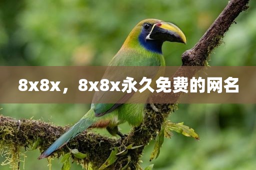 8x8x，8x8x永久免费的网名