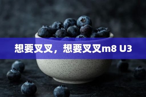 想要叉叉，想要叉叉m8 U3