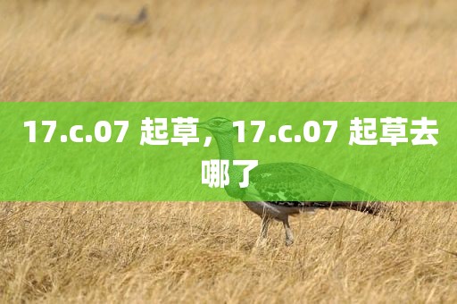 17.c.07 起草，17.c.07 起草去哪了