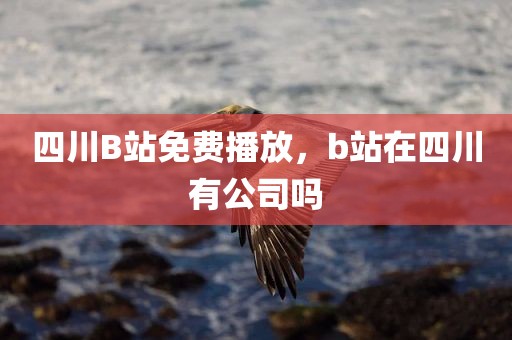四川B站免费播放，b站在四川有公司吗