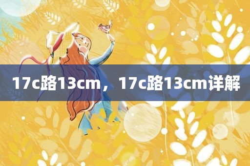 17c路13cm，17c路13cm详解
