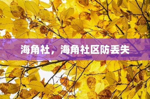 海角社，海角社区防丢失