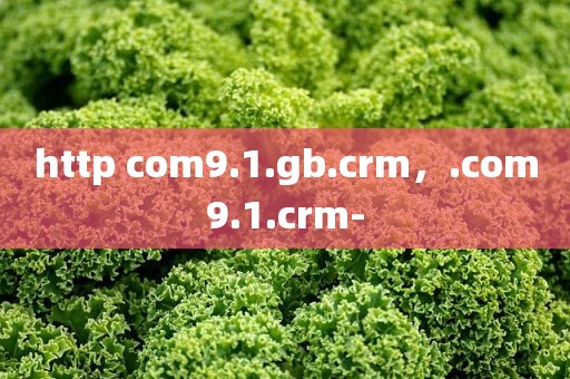 http com9.1.gb.crm，.com9.1.crm-