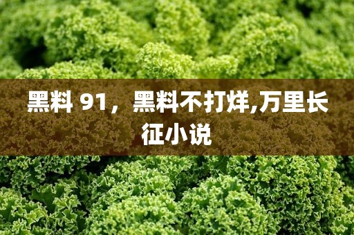 黑料 91，黑料不打烊,万里长征小说