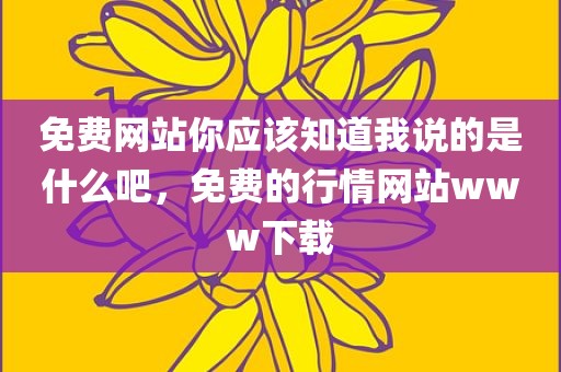 免费网站你应该知道我说的是什么吧，免费的行情网站www下载