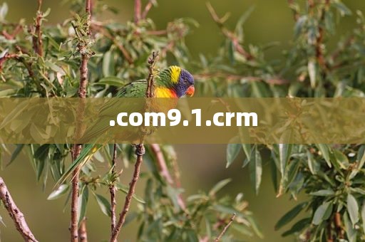 .com9.1.crm