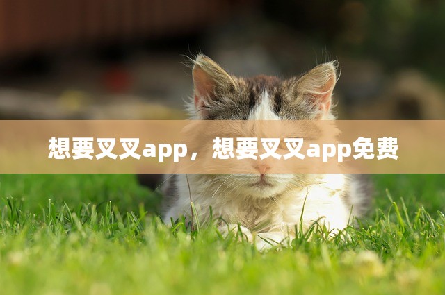 想要叉叉app，想要叉叉app免费